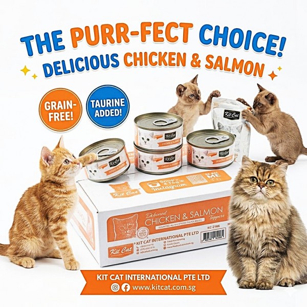Kit Cat Chicken & Salmon Wet Cat Food 80g (24 Cans) Grain-Free Hairball Control Formula – Rich in Omega 3 & 6, Supports Urinary Tract Health, Reduces Kidney Stone Risk, No Pork No Lard, No Artificial Preservatives, Super Premium Cat Food