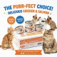 Kit Cat Chicken & Salmon Wet Cat Food 80g (24 Cans) Grain-Free Hairball Control Formula – Rich in Omega 3 & 6, Supports Urinary Tract Health, Reduces Kidney Stone Risk, No Pork No Lard, No Artificial Preservatives, Super Premium Cat Food