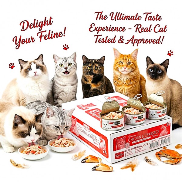Kit Cat Chicken & Crabstick 80g Wet Cat Food (24 Cans) – Grain Free, Hairball Control, Omega 3 & 6, Taurine Added, Supports Urinary Tract & Kidney Health, No Pork, No Lard, No Artificial Preservatives