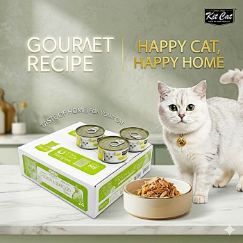 Kit Cat Chicken & Seafood Wet Cat Food 80g (24 Pack) – Grain Free Hairball Control in Aspic, Urinary Tract & Kidney Health Support, Omega 3 & 6 Rich, Taurine Added, No Pork No Lard, No Artificial Preservatives, Premium Complementary Cat Food