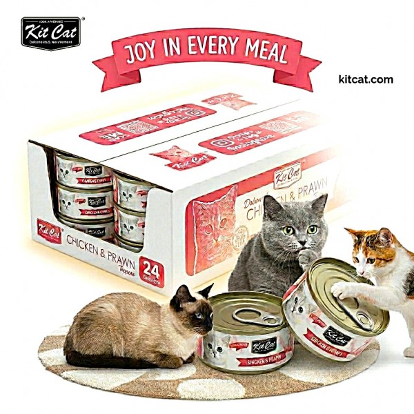 Kit Cat Chicken & Prawn Wet Cat Food 80g (24 x 80g Box) Grain Free Deboned Toppers | Hairball Control | Taurine Added | Omega 3 & 6 | Urinary Tract & Kidney Health Support | No Pork No Lard | All Life Stages Cats