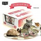 Kit Cat Chicken & Prawn Wet Cat Food 80g (24 x 80g Box) Grain Free Deboned Toppers | Hairball Control | Taurine Added | Omega 3 & 6 | Urinary Tract & Kidney Health Support | No Pork No Lard | All Life Stages Cats
