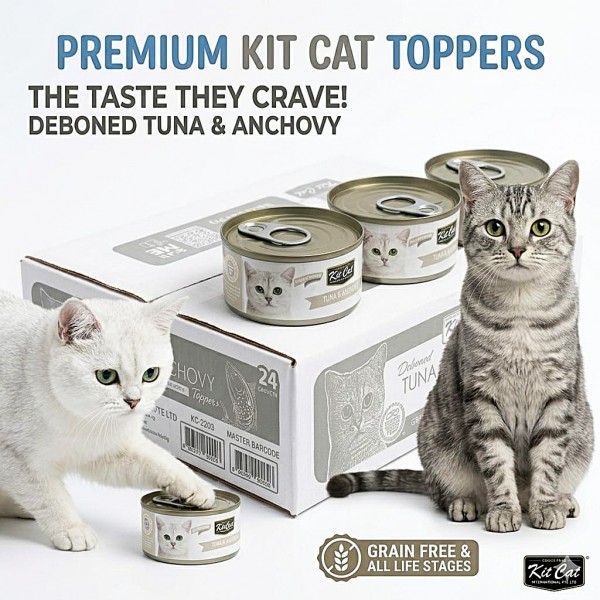 Kit Cat Deboned Tuna & Anchovy Toppers 80g Grain Free Wet Cat Food (1 Box – 24 Cans) | High Protein All Life Stages Cat Food with Taurine, Omega 3 & 6 | Hairball Control, Urinary Tract Health Support, No Pork No Lard, No Artificial Preservatives