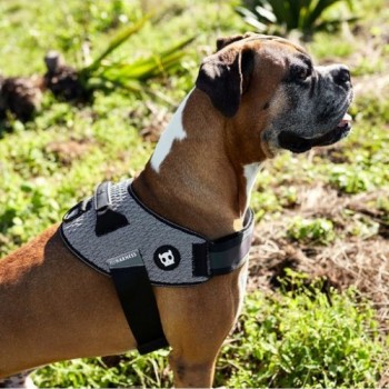 Zee.Dog Urban Flyharness (Size 2)
