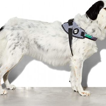 Zee.Dog Urban Flyharness (Size 3)