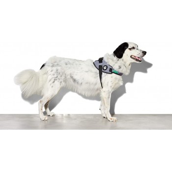 Zee.Dog Urban Flyharness (Size 3)