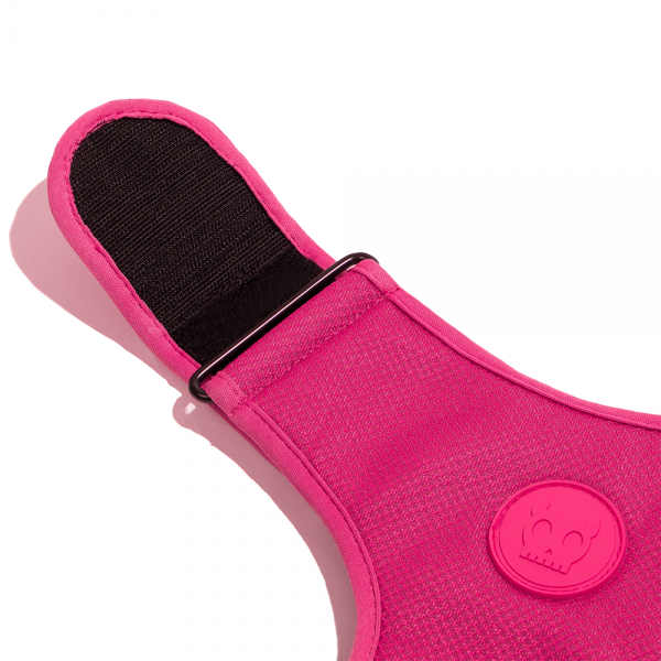 Zee.Dog Pink Adjustable Air Mesh Dog Harness Extra Small – Lightweight Breathable Soft Chest Harness with 4-Point Locking Buckle, Secure D-Ring Leash Attachment (Neck 19–24 cm, Waist 33–41 cm)