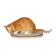 Zee.Cat Light Coral Cat Scratcher – Double-Sided Recyclable Cardboard Pad with Natural Rubber Non-Slip Base (45cm x 30cm x 5cm)