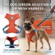 Zee.Dog Gibson Adjustable Air Mesh Harness – Extra Small (Neck 19–24 cm, Girth 33–41 cm) Lightweight Breathable 3D Jacquard Dog & Cat Chest Harness with 4-Point Locking Buckle, Fully Adjustable & Secure D-Ring Leash Attachment