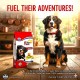 Farmina Expo-A Fun Dog Adult Dry Dog Food 20 Kg – Complete Balanced Nutrition for Adult Dogs – High Digestibility Formula with Chicken Meal – Supports Energy, Digestion, Muscle Health & Daily Vitality – Premium Dog Food Made in Italy
