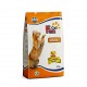 Farmina Expo-A Fun Cat Meat Dry Food for Adult Cats – 20 Kg Economy Pack – Complete Balanced Nutrition with Chicken & Meat Protein – Highly Digestible Formula – High Palatability – Supports Healthy Energy, Muscles & Overall Vitality