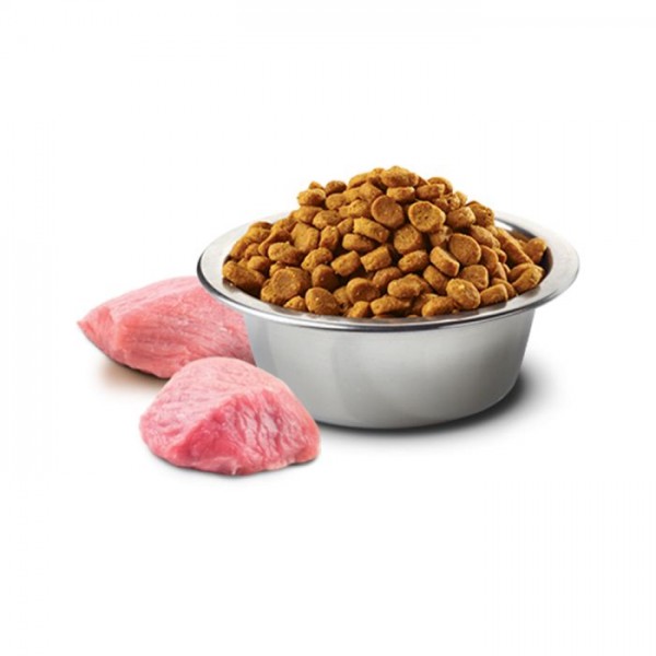 Farmina N&D Prime Chicken & Pomegranate Adult Medium & Maxi Dry Dog Food 12 Kg, Grain Free High Protein Dog Food with Chicken, Herring, Omega 3 & 6, Glucosamine & Chondroitin for Joint Support