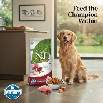 Farmina N&D Prime Chicken & Pomegranate Adult Medium & Maxi Dry Dog Food 12 Kg, Grain Free High Protein Dog Food with Chicken, Herring, Omega 3 & 6, Glucosamine & Chondroitin for Joint Support