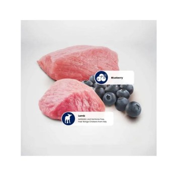 Farmina N&D Prime Lamb & Blueberry Adult Dog Food 12 kg, Grain Free Dry Dog Food for Medium & Large Breed Dogs, High Protein Lamb Recipe with Natural Antioxidants
