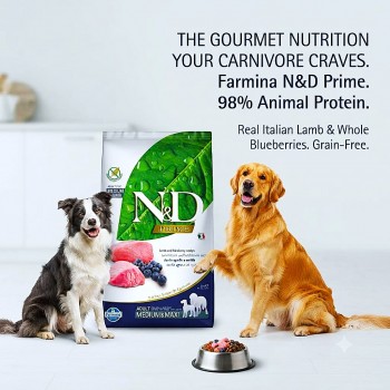 Farmina N&D Prime Lamb and Blueberry Medium & Maxi Adult Dry Dog Food 2.5kg, Grain Free High Protein Dog Food with Real Lamb, Omega 3 & 6, Glucosamine & Chondroitin