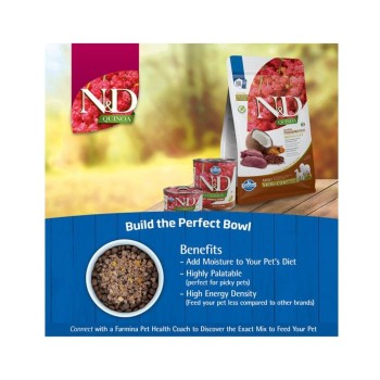 Farmina N&D Quinoa Skin & Coat Venison Medium & Maxi Adult Dog Dry Food 2.5 Kg, Grain Free, Single Novel Protein, Venison, Quinoa, Coconut & Turmeric Recipe, Skin & Coat Support for Food Sensitivities