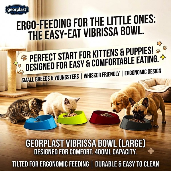 Georplast Vibrissa Whisker-Friendly Cat Bowl Large 400ml – Navy Blue Tilted Elevated Anti-Stress Feeding Dish for Cats & Kittens – Ergonomic Shallow Design Food & Water Bowl