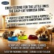 Georplast Vibrissa Whisker-Friendly Cat Bowl Large 400ml – Navy Blue Tilted Elevated Anti-Stress Feeding Dish for Cats & Kittens – Ergonomic Shallow Design Food & Water Bowl