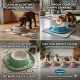 Georplast Volcano Soft Touch Single Pet Bowl Blue with Integrated Spill Catch Tray Durable Non Slip Feeding Bowl for Cats and Small Dogs 230ml 20x20x3.5 cm Made in Italy