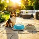 Georplast Soft Touch Plastic Single Bowl Large 600ml Pink Pet Feeding Dish with Removable Inner Bowl, Non-Slip Ergonomic Food & Water Bowl for Cats and Dogs, 28x28x5.5 cm, Made in Italy