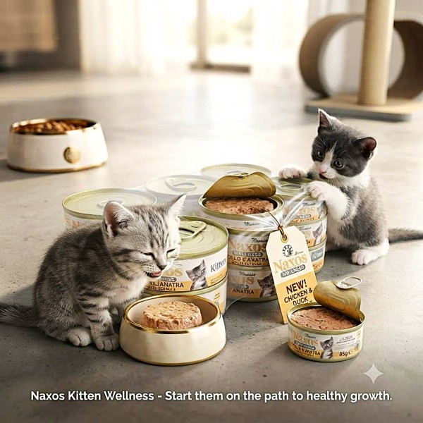 Naxos Kitten Wet Cat Food Mousse Chicken & Duck 85g x 12 Cans | Grain Free Premium Nutrition with Pomegranate, Spirulina Algae & Salmon Oil | Complete Balanced Food for Kittens 3 Months to 1 Year