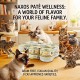 Naxos Grain Free Sterilized Adult Cat Wet Food Chicken and Turkey Pate with Salmon Oil Pomegranate Spirulina 85g x 12 Cans Box