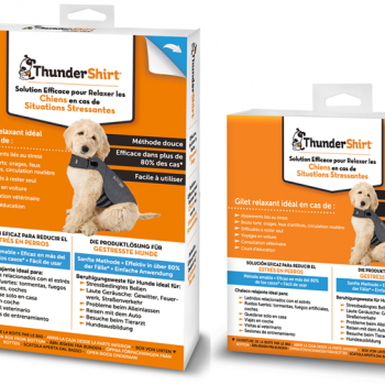THUNDERSHIRT DOG  ANXIETY ADAPTIL ( GREY M )