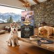 Carnilove Salmon & Turkey Puppy Dog Food 12kg | Grain Free & Potato Free Complete Dry Food for Puppies of All Breeds 1-12 Months | High Protein Formula with Omega 3 for Healthy Growth and Development