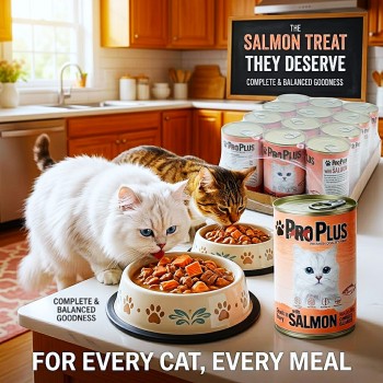Pro Plus Premium Adult Wet Cat Food Salmon Chunks in Gravy, Complete and Balanced Cat Food with Taurine and Vitamins, 400g x 12 Cans, 4.8kg Multipack