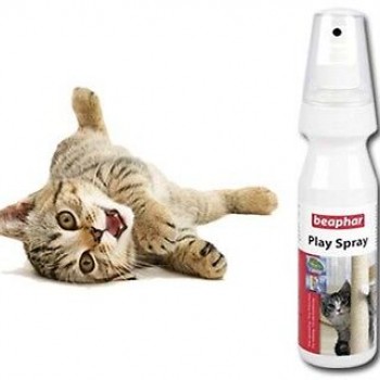 PLAY SPRAY FOR CATS (LURE) (150ML)