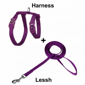DOCO Signature Cat Harness + Leash XS Orange