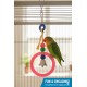Pets Club Plastic Bird Toy with Bell – H 17 cm × W 8 cm | Ring Beller Hanging Toy for Small to Medium Birds
