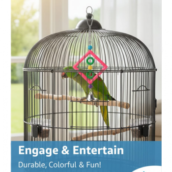 Pets Club Plastic Bird Toy With Bell – H 30 cm × W 10 cm