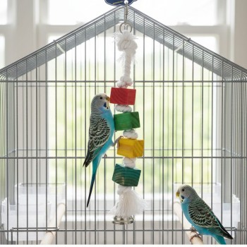 Pets Club Natural Wooden Hanging Bird Toy 27 cm – Colorful Wooden Block & Rope Cage Toy with Bell for Budgies, Parakeets, Cockatiels & Small to Medium Pet Birds | Chewing, Climbing, Mental Stimulation & Boredom Relief Enrichment Toy