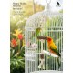Pets Club Natural Wooden Flamingo Parrot Toy H-38 cm W-8 cm – Bird Hanger Swing Toy with Cotton Rope & Wood | Promotes Chewing, Play & Mental Stimulation for Parrots