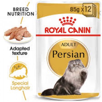 ROYAL CANIN ADULT PERSIAN 1 BOX -12 PS ( 85 G )  For Cat