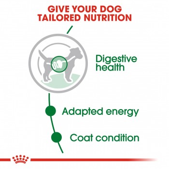 Size Health Nutrition Mini Adult dog wet food 1 box ( 12pcs X 85g )