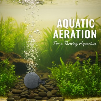 Aquarium Air Stone Round Shape 17mm (1.7cm) – Fine Bubble Oxygenation for Fish Tanks and Ponds, Compatible with Standard Air Hoses