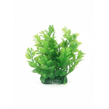Aquarium Plastic Plant M404 – W7×H13 Cm, Artificial Fish Tank Decoration with Weighted Ceramic Base, Safe for Freshwater & Saltwater, Low-Maintenance Realistic Aquarium Plant