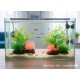 Aquarium Plastic Plant M516 – 2 Pcs Pack | Artificial Fish Tank Decoration, Non-Toxic Durable Plastic, Ceramic Base, Freshwater & Saltwater Safe, Low-Maintenance Hiding Spots for Fish, Vibrant Green & Pink Aquarium Landscaping