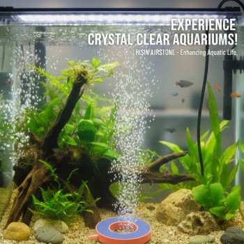 HISIN Aquarium Air Stone Circle Shaped 63×33 mm – Fine Bubble Airstone for Fish Tanks & Hydroponics, High Oxygen Diffuser with PVC Casing