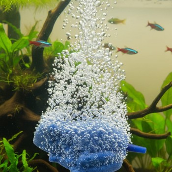 Aquarium Frog Shaped Air Stone 62×70mm | HISIN Ceramic Airstone for Fish Tanks, Decorative Air Pump Accessory for Oxygenation & Water Aeration