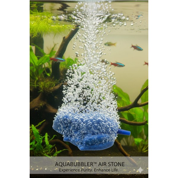 Aquarium Frog Shaped Air Stone 62×70mm | HISIN Ceramic Airstone for Fish Tanks, Decorative Air Pump Accessory for Oxygenation & Water Aeration