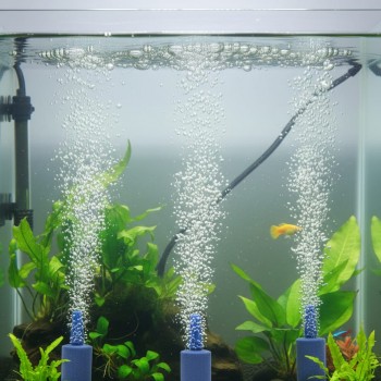 Hisin Aquarium Air Stone 3 Pack – 13×25mm Cylinder Bubble Diffusers for Fish Tank Aeration, Water Circulation, Oxygenation, Freshwater & Saltwater Aquariums, Ponds, and Hydroponic Systems