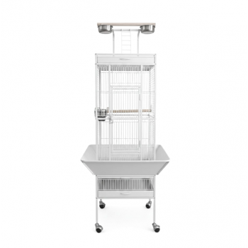 High Quality Tropical White Metal Playtop Bird Cage with Rolling Stand, Open Play Area, Stainless Steel Cups & Secure Lock – Model 2100-1, 46x46x153 CM