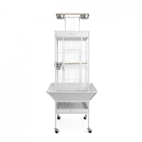 High Quality Tropical White Metal Playtop Bird Cage with Rolling Stand, Open Play Area, Stainless Steel Cups & Secure Lock – Model 2100-1, 46x46x153 CM