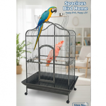 XL Open-Top Parrot Cage - Black (104 × 70 × 185 cm) Heavy-Duty Wrought Iron Aviary with Play Top, Seed Skirts, Stainless Steel Bowls & Wheels – Suitable for Large Parrots - B022