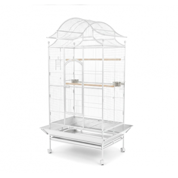 Tropical Large Bird Cage Aviary with Rolling Stand, White Metal Parrot Cage 81×59×179 cm, Heavy-Duty Wrought Iron, Play Top & Slide-Out Tray – Model B057