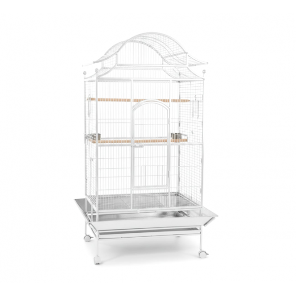 Tropical Large Bird Cage Aviary with Rolling Stand, White Metal Parrot Cage 81×59×179 cm, Heavy-Duty Wrought Iron, Play Top & Slide-Out Tray – Model B057