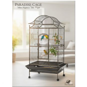 Tropical Large Bird Cage for Parrots, Heavy-Duty Metal Aviary with Rolling Stand, Play Top & Slide-Out Tray, 81×59×179 cm, Black – Model B057